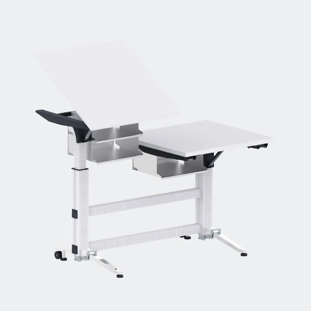 Schulmöbel Tisch Schultisch T-Linie TWIN mit hoher Standfestigkeit in Sitz- oder Stehposition L+S AG in Sommeri